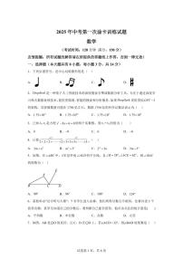2024-2025学年 江苏省仪征市九年级中考数学第一次模拟试卷（含答案）