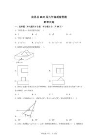 2024-2025学年 江西省南昌市南昌县中考一模数学试卷（含答案）