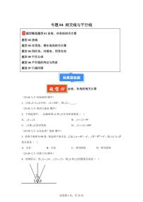 2024-2025学年 相交线与平行线（七大题型）七年级数学下册期中真题检测试题