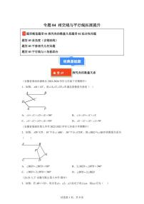 2024-2025学年 相交线与平行线拓展提升七年级数学下册期中真题检测试题