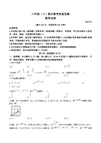 四川省眉山市仁寿县2024-2025学年八年级上学期1月期末考试数学试卷(含答案)