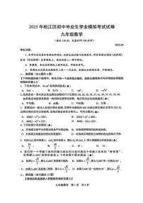 2025届上海市松江区中考二模数学试卷（含答案）