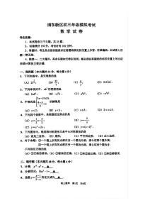 2025届上海市浦东区中考二模数学试卷（含答案）