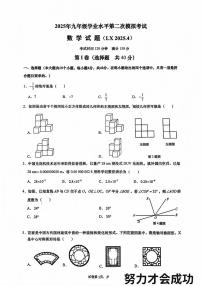 2025年济南市历下区初三数学二模试题（无答案）