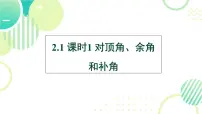 初中数学北师大版（2024）七年级下册（2024）两条直线的位置关系图文课件ppt