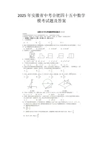 2025年安徽省中考合肥四十五中数学模考试题及答案