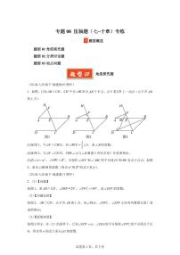 2024-2025学年 08（压轴题（七~十章）专练七年级数学下册期中真题检测试题