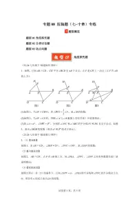 2024-2025学年 08（压轴题（七~十章）专练七年级数学下册期中真题检测试题