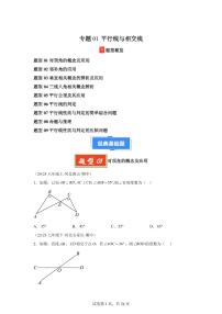 2024-2025学年 平行线与相交线（9大题型）七年级数学下册期中真题检测试题