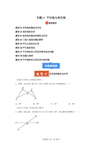 2024-2025学年 平行线与相交线（9大题型）七年级数学下册期中真题检测试题