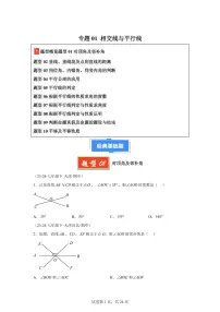 2024-2025学年 相交线与平行线（10题型）七年级数学下册期中真题检测试题