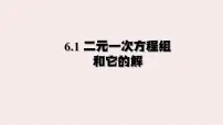 初中华东师大版（2024）二元一次方程组和它的解课堂教学ppt课件