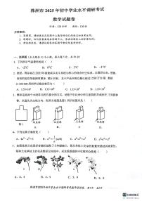 2025株洲市初中学业水平模拟考试数学试卷及参考答案
