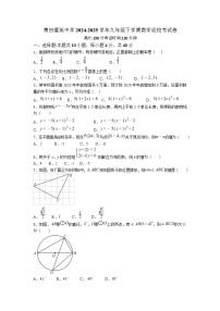 莆田擢英中学2025届九年级下学期返校考试数学试卷(含答案)
