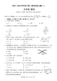 重庆市巴蜀中学校2024-2025学年九年级下学期二调数学复习题（一）