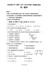 2024~2025学年广东省深圳市高级中学七年级下学期期中考试数学试题（含答案）