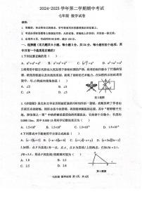 2024~2025学年广东省深圳中学七年级下学期期中考试数学试题（含答案）