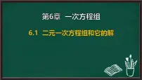 华东师大版（2024）七年级下册（2024）二元一次方程组和它的解备课ppt课件