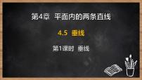 湘教版（2024）七年级下册（2024）垂线教学ppt课件