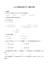 安徽省宣城市2024届九年级下学期中考一模数学试卷(含解析)