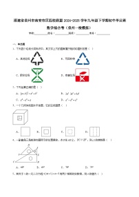 福建省泉州市南安市区四校联盟2025届九年级下学期初中毕业班（泉州一检模拟）数学试卷(含解析)