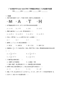 广东实验中学2025届九年级下学期适应性练习数学试卷(含解析)