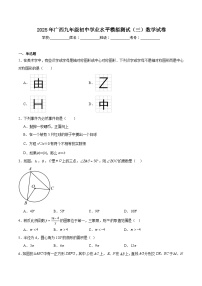 广西2025届九年级初中学业水平模拟测试（三）数学试卷(含解析)