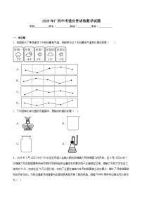 广西2025届九年级下学期中考适应性训练数学试卷(含解析)