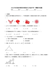 河南省安阳市安阳县2025届九年级下学期中考一模数学试卷(含解析)