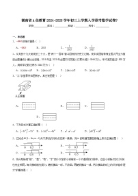 湖南省2025届九年级下学期入学联考数学试卷(含解析)