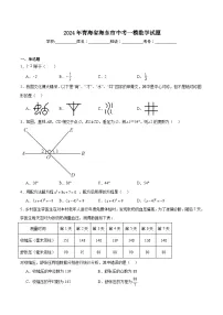青海省海东市2024届九年级下学期中考一模数学试卷(含解析)