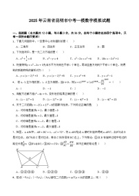 云南省昆明市2025届九年级下学期中考一模数学试卷(含答案)