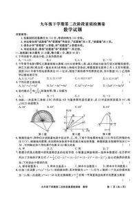 2025年安徽省淮北市二中联考中考二模数学试题