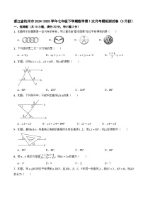 浙江省杭州市2024-2025学年七年级下学期数学第1次月考模拟测试卷（3月份）（含解析）