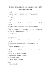 黑龙江省双鸭山市集贤县2023-2024学年七年级下学期期末质量监测数学试卷（解析版）