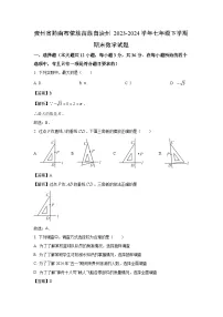 贵州省黔南布依族苗族自治州2023-2024学年七年级下学期期末数学试卷（解析版）