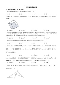 2025年山东省济南市中考数学模拟试题附答案