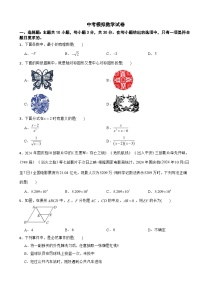 湖南省2025年中考模拟数学试卷附答案