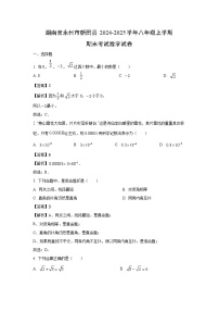 湖南省永州市新田县2024-2025学年八年级上学期期末考试数学试卷（解析版）