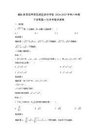 湖北省黄石市黄石港区部分学校2024-2025学年八年级下学期第一次月考数学试卷（解析版）