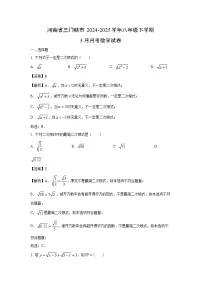 河南省三门峡市2024-2025学年八年级下学期3月月考数学试卷（解析版）