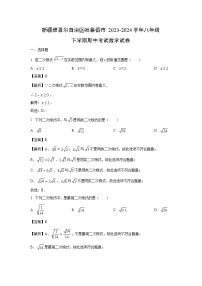 新疆维吾尔自治区吐鲁番市2023-2024学年八年级下学期期中考试数学试卷（解析版）