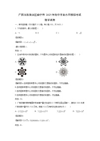 广西壮族自治区南宁市2025年初中学业水平模拟考试数学试卷（解析版）