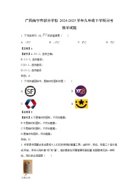 广西南宁市部分学校2024-2025学年九年级下学期月考数学试卷（解析版）