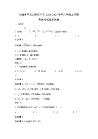 河南省平顶山市宝丰县2024-2025学年八年级上学期期末考试数学试卷（解析版）