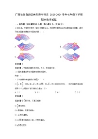 广西壮族自治区崇左市宁明县2023-2024学年七年级下学期期末数学试卷（解析版）