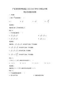 广东省茂名市电白区2024-2025学年八年级上学期期末考试数学试卷（解析版）