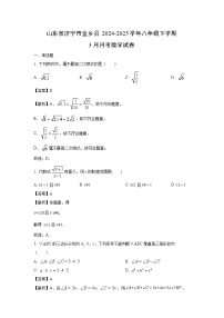 山东省济宁市金乡县2024-2025学年八年级下学期3月月考数学试卷（解析版）