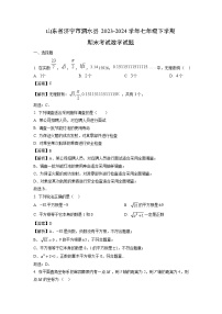 山东省济宁市泗水县2023-2024学年七年级下学期期末考试数学试卷（解析版）