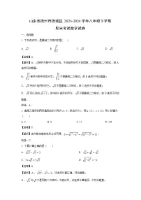 山东省德州市德城区2023-2024学年八年级下学期期末考试数学试卷（解析版）